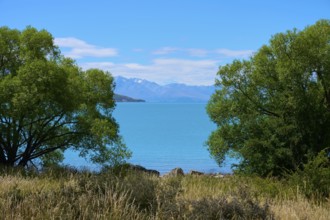 A lake surrounded by trees in the foreground, with a spectacular mountain backdrop and clear blue