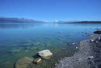 Clear lake with pebble beach and mountain backdrop under blue sky, Lake Pukaki Viewpoint, Pukaki,