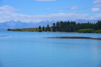 Clear water with trees on the shore against a backdrop of mountains and blue sky, Lake Tekapo,