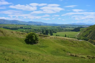 Green hills under blue sky with scattered clouds, rural and peaceful atmosphere, Canterbury, South