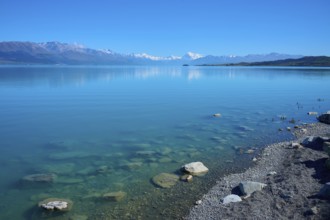 Clear blue water with rocks on the shore and snowy mountains in the background, Lake Pukaki