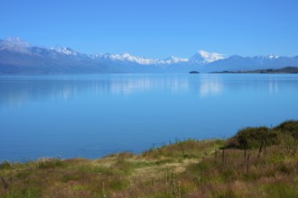 Landscape looking across meadow to a tranquil lake and snow-capped mountains, Lake Pukaki