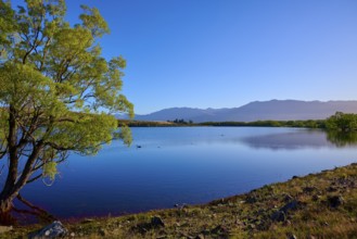 A quiet lake with trees and mountains under a clear sky, Lake McGregor, Tekapo, Canterbury, South