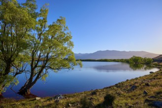 A calm lake with trees and mountains in sunlight, Lake McGregor, Tekapo, Canterbury, South Island,