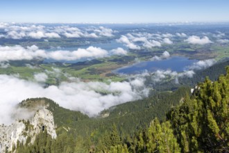 Panorama from Tegelberg, 1881m, on Forggensee and Bannwaldsee, Ostallgäu, Bavaria, Germany
