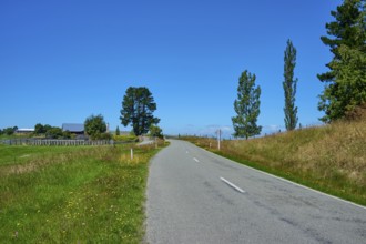 Rural road between green fields under clear sky, Geraldine Fairlie Lookout, Geraldine, Canterbury,