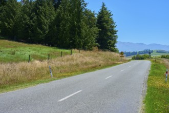 Rural road between trees and meadows in front of a mountain panorama, Geraldine Fairlie Lookout,