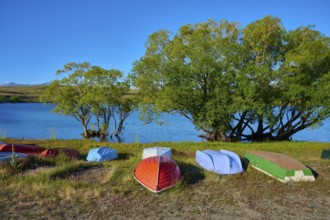 Several colored, overturned boats are moored on the lakeside with clear skies and green trees, Lake