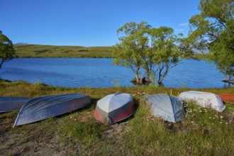 Overturned boats on lake shore with clear sky and green trees in the background, Lake McGregor,