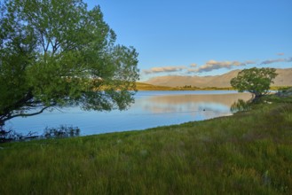 Peaceful landscape with lake views, trees and soft evening colors in the sky, Lake McGregor,