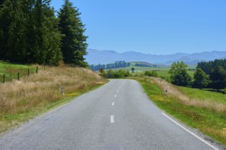 Rural road lined with trees with views of distant mountains, Geraldine Fairlie Lookout, Geraldine,