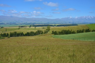Wide landscape with green fields and trees under blue sky, Geraldine Fairlie Lookout, Geraldine,