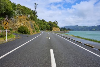 Asphalt road along a coast with green vegetation and rocks, Broad Bay, Dunedin, Otago, South