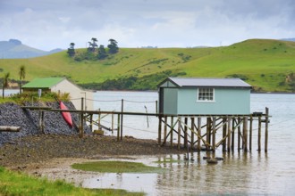Landscape with a hut on a jetty next to a green hill, Broad Bay, Dunedin, Otago, South Island, New