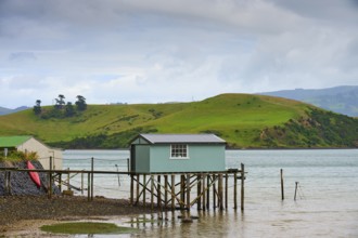 Cabin on stilts near water against green hills and cloudy sky, Broad Bay, Dunedin, Otago, South