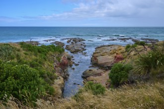 Rock formations with lush vegetation on the coast under blue sky, Shag Point Lookout, Shag Point,