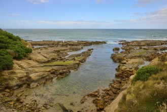 Rocky coast with calm sea and blue sky with clouds, Shag Point Lookout, Shag Point, Palmerston,