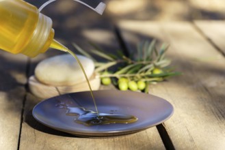 Pouring fresh extra virgin olive oil from a squirt bottle onto a plate, with olive branches in the
