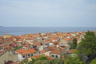 View of the old town of Piran, Adriatic Sea, Mediterranean, Piran, Istria, Slovenia