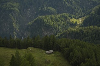 Landscape on the Grossglockner High Alpine Road, Carinthia, Austria