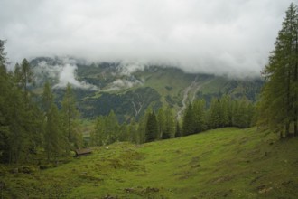 Foggy landscape on the Grossglockner High Alpine Road, Piffkar, Salzburg state, Austria