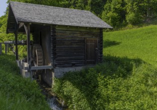 Landscape, Old Mill, Waterwheel, Goldegg, Salzburg