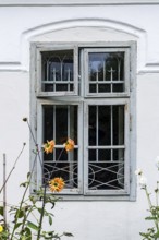 Old window with faded paint in front of a white façade and flowers in the foreground, Weinviertel