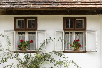 Two windows with open shutters, red geraniums in flower pots, Weinviertel Lower Austria Austria