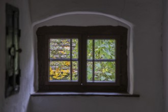 View through an old window with wooden frame, colorful autumn plants outside, Weinviertel Lower