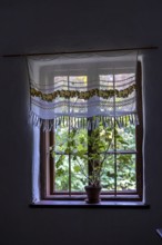 Window with floral pattern curtain and potted houseplant in low light, Weinviertel Lower Austria