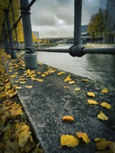 Wet stone edge on the canal with yellow autumn leaves and solid railings, in the background bridge