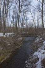 River Mustionjoki in cloudy winter weather, Junkarsborg, Finland