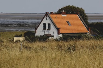 House off the Wadden Sea on Amrum Island, Schleswig-Holstein, Germany