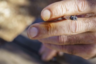 Man's hand gripping a burning cigarette, with yellow nicotine stains visible on fingers and