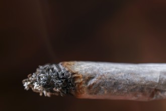 Close up view of a burning tobacco cigarette with forming ash and wisps of smoke rising from the