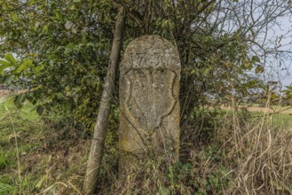 Border stone from 1737 on the cantonal border between Aargau and Lucerne, formerly the canton of