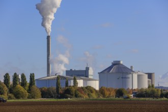 Nordzucker AG sugar factory, smoking chimney during the autumn harvest of sugar beets in the