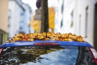 A car is covered with a thick layer of autumn leaves in autumn, Wuppertal, Germany