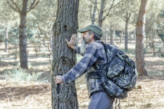 Man in plaid shirt and trekking backpack touching the bark of a pine tree in a forest, finding