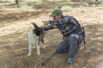 Man interacting with his dog, instructing it in a forest environment. Concept of pet training and