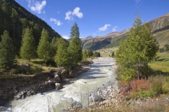 The Karlinbach originates in the high glaciers and flows through the Langtauferer Valley in the