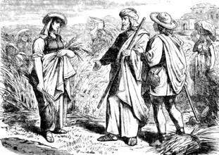 Ruth talks to Boaz and helps with the grain harvest, field, book of Ruth, chapter 2, harvest