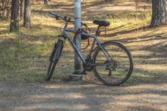 Parked modern bicycle locked to a lamppost in park in Ystad municipality, Skåne county, Sweden,