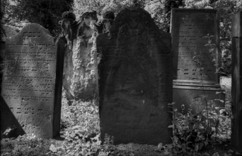 Germany, Halle, 5.8.1992, Jewish cemetery in Halle, gravestones
