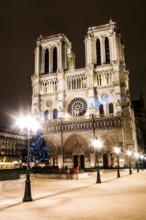Notre Dame Cathedral (Cathédrale Notre Dame). Paris, France. 26.01.2009