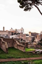 Roman Forum (Foro Romano) viewed from Via di San Bonaventura. Rome, Province of Rome, Italy. 23.12