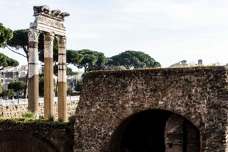 Columns of the Temple of Venus Genetrix at the Forum of Caesar (Foro di Cesare), built between 1st