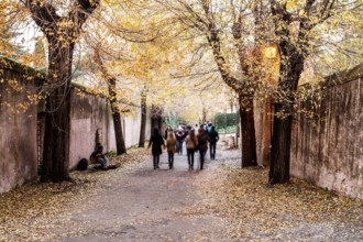 Via di San Bonaventura at the Palatine Hill. Rome, Province of Rome, Italy. 23.12.2012