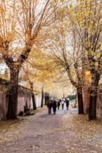 Via di San Bonaventura at the Palatine Hill. Rome, Province of Rome, Italy. 23.12.2012
