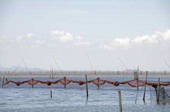 Thailand, Songkhla, Koh Yo, Aquacultural farm, Freshwater fish farming